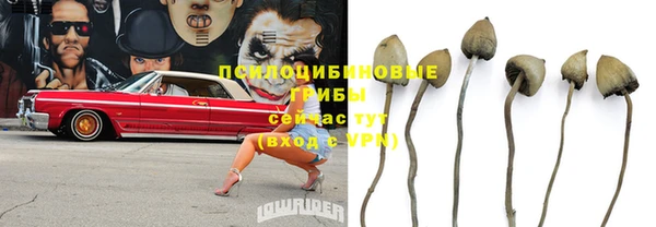 гидра Алексеевка