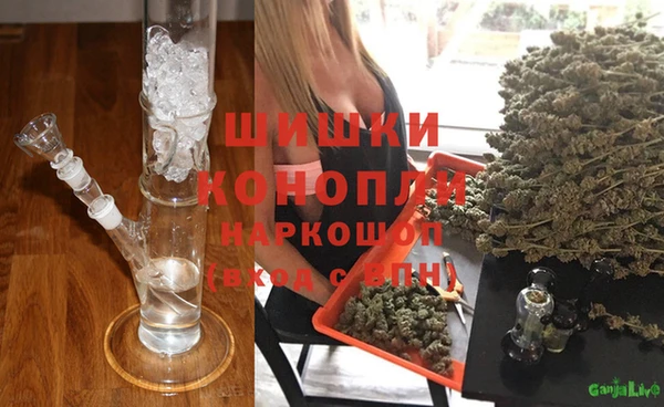 гидра Алексеевка