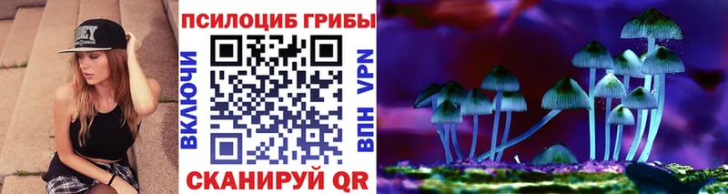 Галлюциногенные грибы GOLDEN TEACHER  где купить наркотик  Гуково 